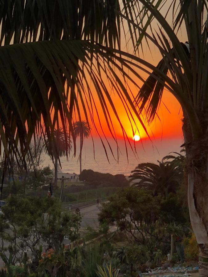 Moonlight Beach Motel Encinitas Εξωτερικό φωτογραφία